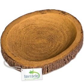 Terrario Tree Ring Bowl S – mała miska do terrarium 9,5x7,5x1 cm