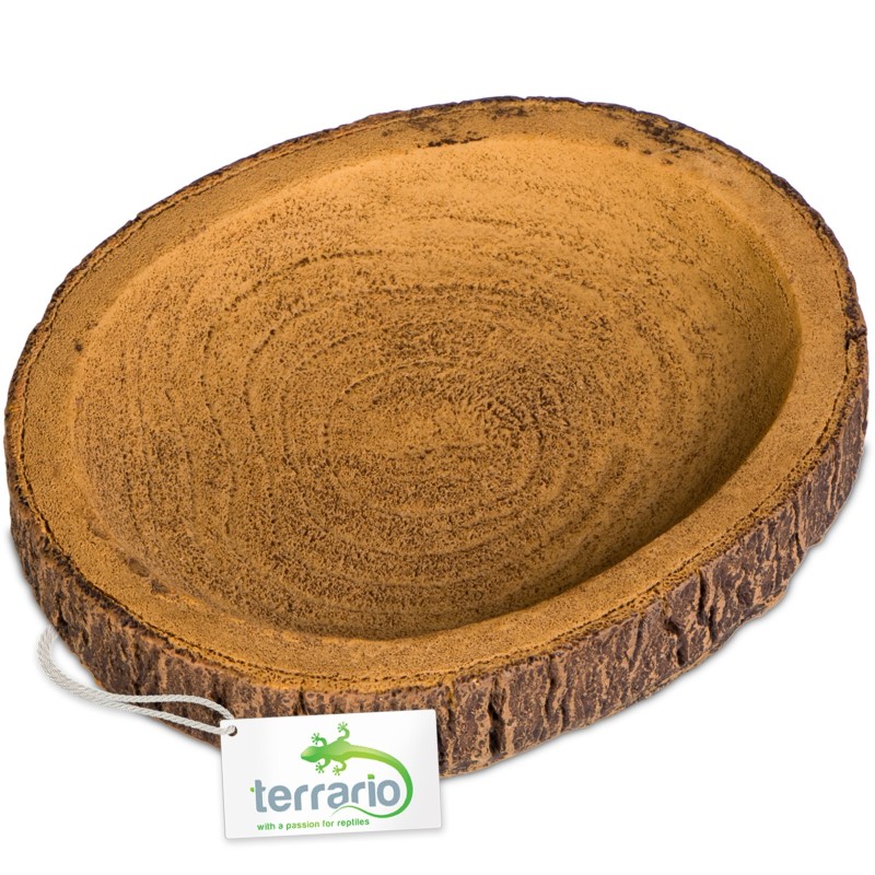 Terrario Tree Ring Bowl S – mała miska do terrarium 9,5x7,5x1 cm