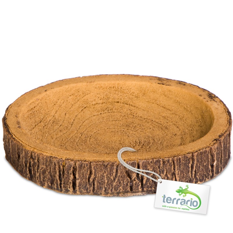 Terrario Tree Ring Bowl S – mała miska do terrarium 9,5x7,5x1 cm