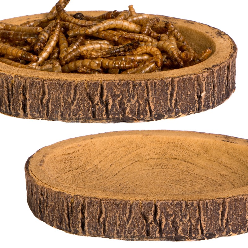 Terrario Tree Ring Bowl S – mała miska do terrarium 9,5x7,5x1 cm