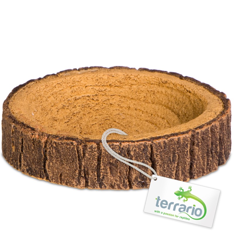 Terrario Tree Ring Bowl XS – miska do terrarium 6x5x1 cm