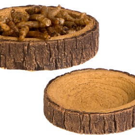 Terrario Tree Ring Bowl XS – miska do terrarium 6x5x1 cm