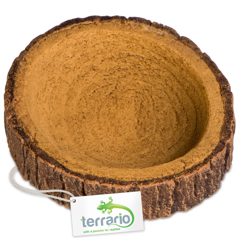 Terrario Tree Ring Bowl XS – miska do terrarium 6x5x1 cm