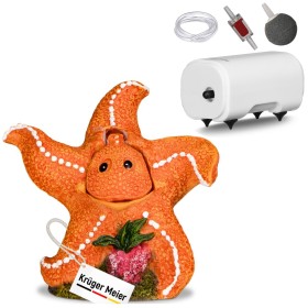 Kruger Meier Happy Starfish Set – Ozdoba