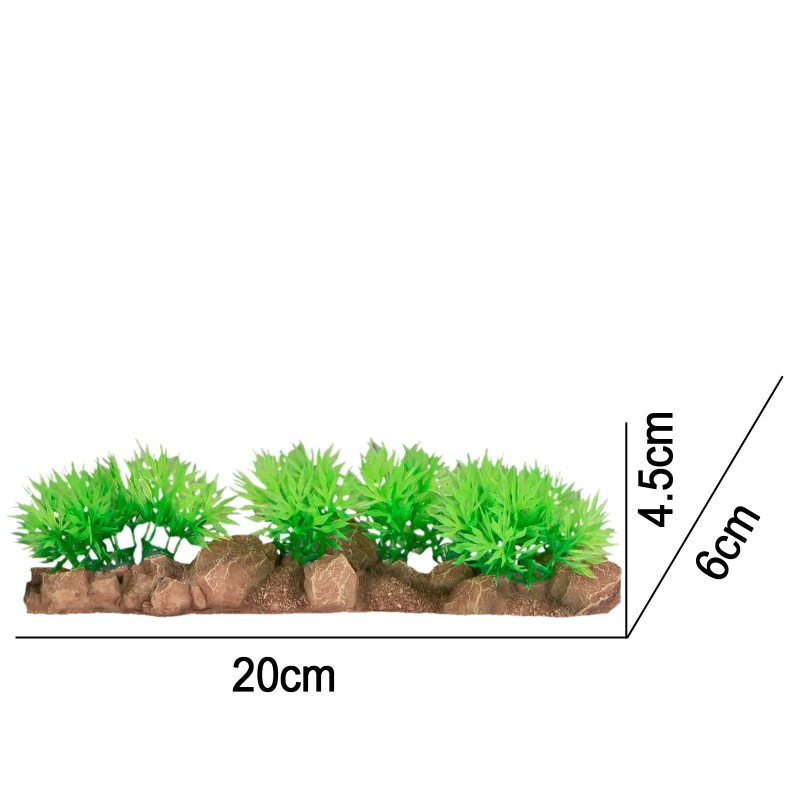 Decoración vegetal Kruger Meier para acuarios