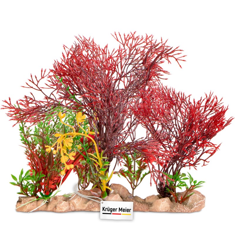 Kruger Meier Plant Coral Garden Decoration