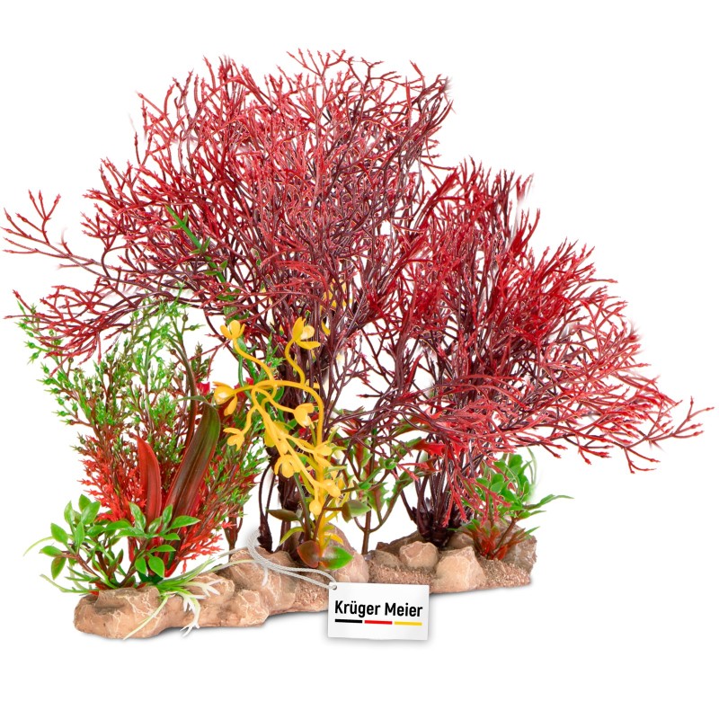 Kruger Meier Plant Coral Garden Decoration