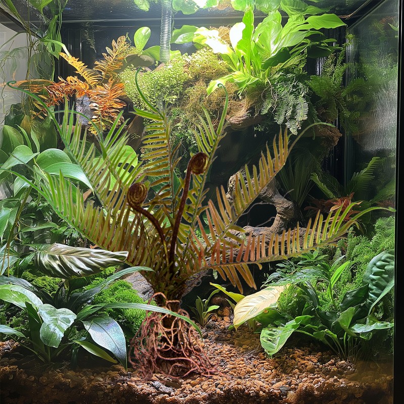 Terrario Giant Fern - Kunstig plante