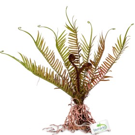 Terrario Giant Fern - Kunstlik Sõnajalg 40x14x41 cm