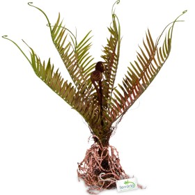 Terrario Giant Fern - Planta artificial