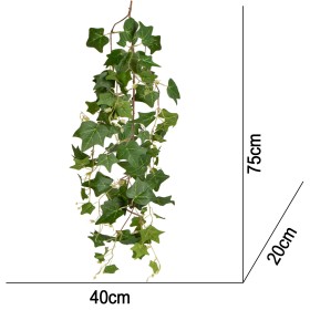 Naturlig hengeplante til terrariet