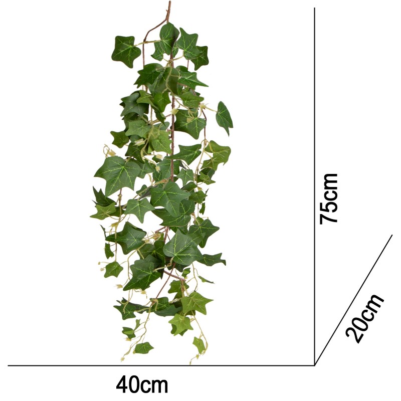 Naturlig hengeplante til terrariet