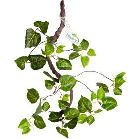 Terrario Hängender Efeu 80 cm für Terrarien