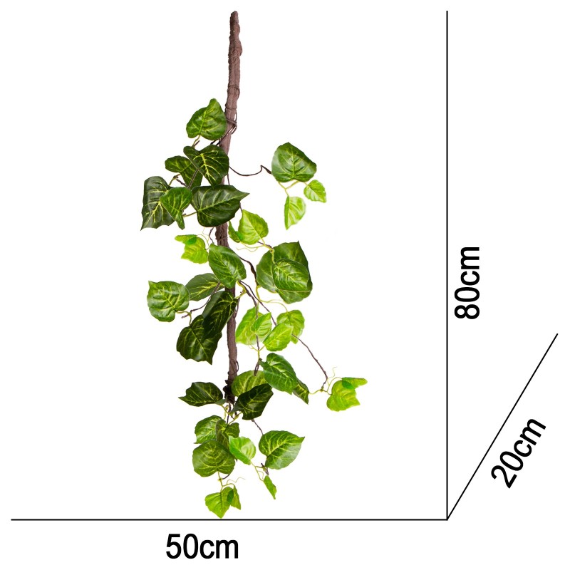 Hengende eføy 80 cm til terrarium