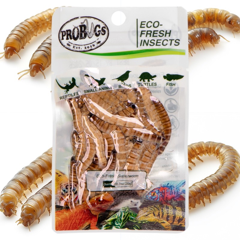 ProBugs Eco-Fresh Superorm 20g