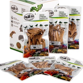 ProBugs Eco-Fresh Superworm 20g