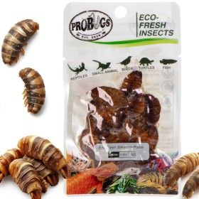 ProBugs Eco-Fresh Silkworm Larvae 15g