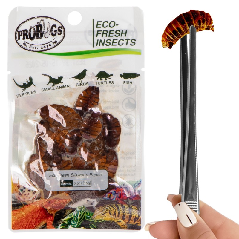 ProBugs Eco-Fresh Larve di Baco da Seta 15g