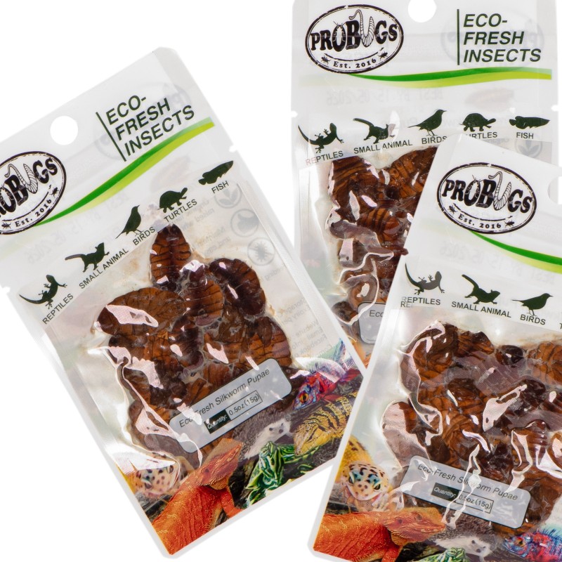 ProBugs Eco-Fresh Larves de Ver à Soie 15g