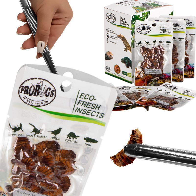 ProBugs Eco-Fresh Larve di Baco da Seta 15g