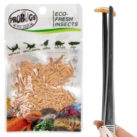 ProBugs Eco-Fresh Orezul de vierme 15g - Hrană pentru animale