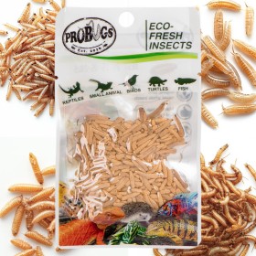 ProBugs Eco-Fresh Riceworm 15g - Alimento para Animales