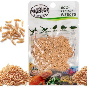 ProBugs Eco-Fresh Riceworm 15g - Foder för Djur