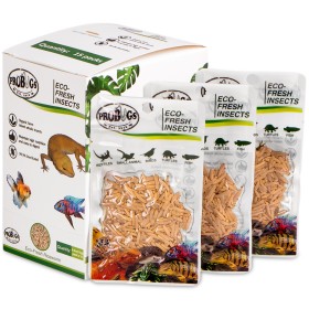 ProBugs Eco-Fresh Orezul de vierme 15g - Hrană pentru animale