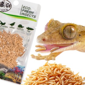 ProBugs Eco-Fresh Riceworm 15g - świeże larwy