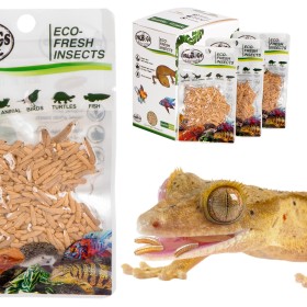 ProBugs Eco-Fresh Riceworm 15g - świeże larwy