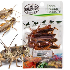 ProBugs Eco-Fresh Saltamontes 8 piezas - comida saludable