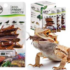 ProBugs Eco-Fresh Saltamontes 8 piezas - comida saludable