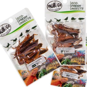 ProBugs Eco-Fresh Grasshopper 8pcs - healthy food