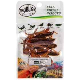 ProBugs Eco-Fresh Gräshoppor 8st - hälsosam mat