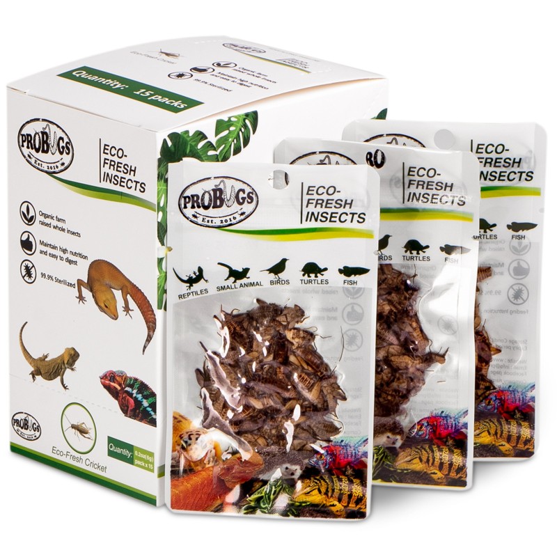 ProBugs Eco-Fresh Greieri 6g - Greieri proaspeți