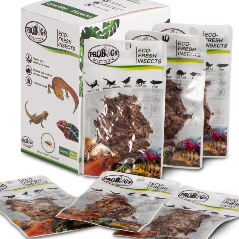 ProBugs Eco-Fresh Crickets 6g - Švieži švilpikai