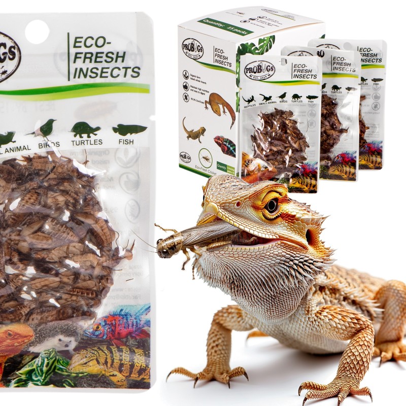 ProBugs Eco-Fresh Crickets 6g - Švieži švilpikai