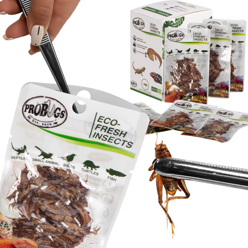 ProBugs Eco-Fresh Crickets 6g - Švieži švilpikai