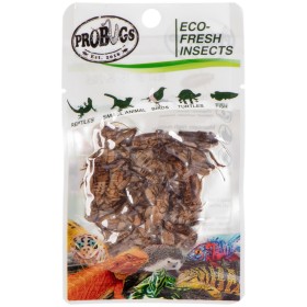 ProBugs Eco-Fresh Greieri 6g - Greieri proaspeți