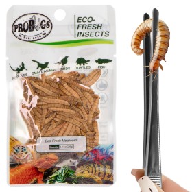 ProBugs Eco-Fresh Mealworm 20g - Fresh Larvae