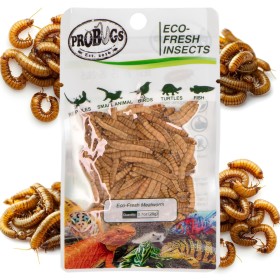 ProBugs Eco-Fresh Mealworm 20g - Fresh Larvae