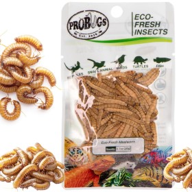 ProBugs Eco-Fresh Hmyzové červy 20g - Čerstvé larvy