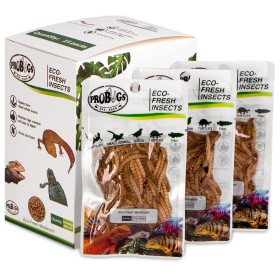 ProBugs Eco-Fresh Mealworm 20g - Fresh Larvae