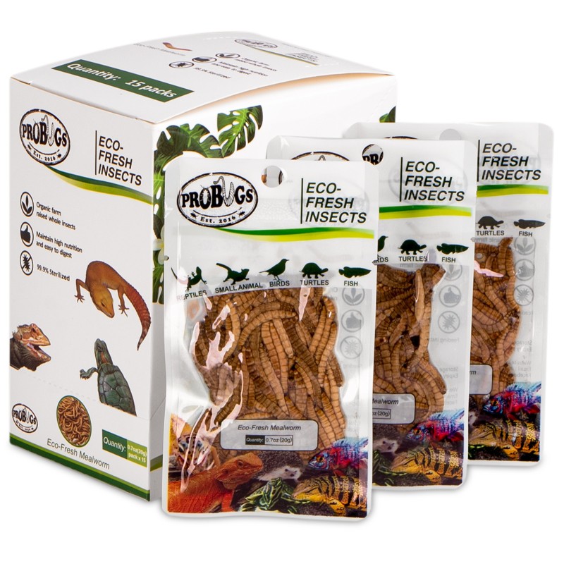 ProBugs Eco-Fresh Mealworm 20g