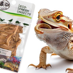 ProBugs Eco-Fresh Mealworm 20g