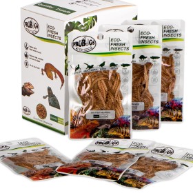 ProBugs Eco-Fresh Mealworm 20g - Fresh Larvae