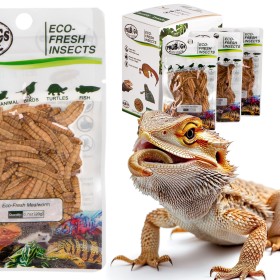 ProBugs Eco-Fresh Mealworm 20g - Fresh Larvae