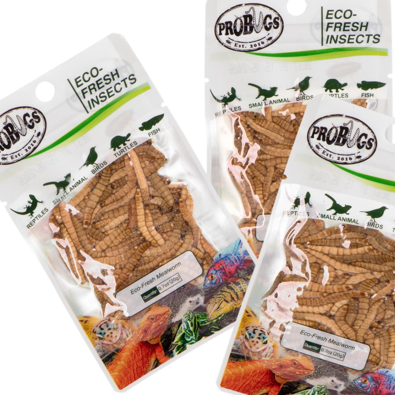 ProBugs Eco-Fresh Férgesség 20g - Friss Lárvák