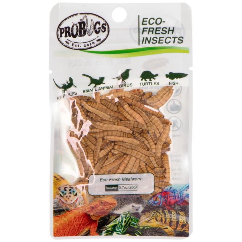 ProBugs Eco-Fresh Mealworm 20g - Fresh Larvae