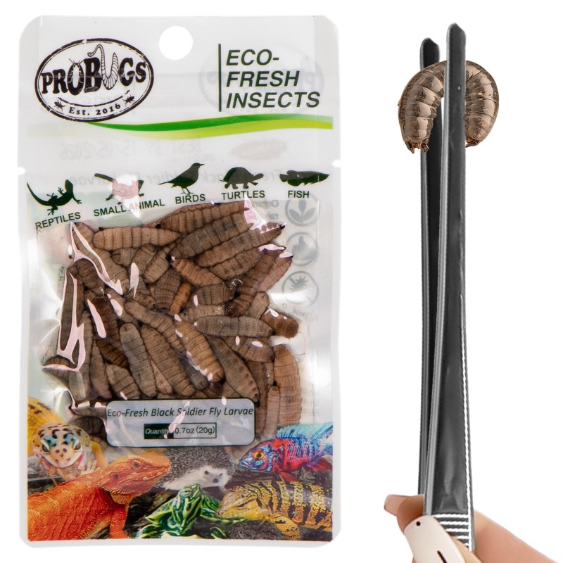 ProBugs Eco-Fresh 20g - černé larvy octomilky